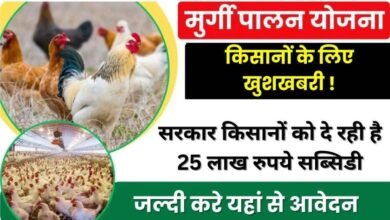 Poultry Farm Loan Subsidy Scheme